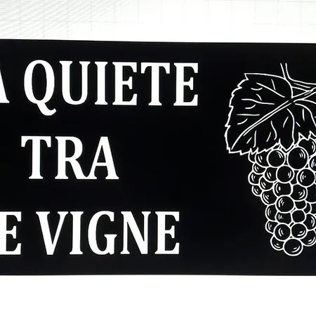 La Quiete Tra Le Vigne Tuscany * Collesalvetti