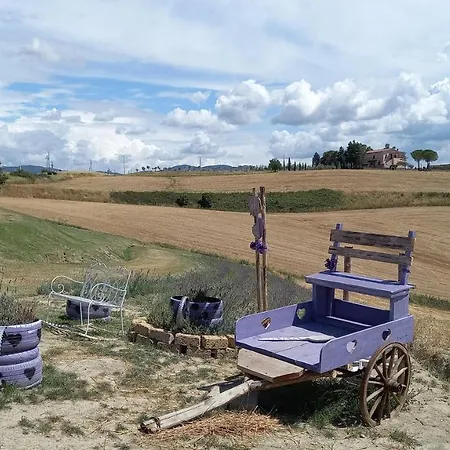 La Quiete Tra Le Vigne Tuscany * Collesalvetti