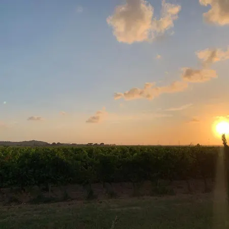 Apartamento La Quiete Tra Le Vigne Tuscany