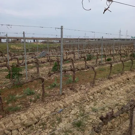 La Quiete Tra Le Vigne Tuscany Apartamento Collesalvetti