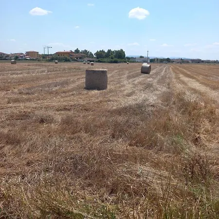 La Quiete Tra Le Vigne Tuscany Apartamento