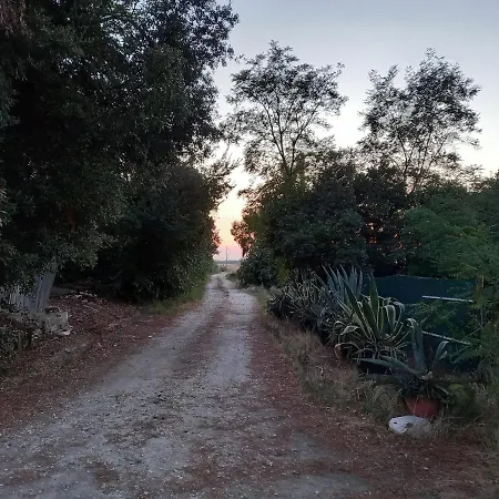 La Quiete Tra Le Vigne Tuscany Collesalvetti